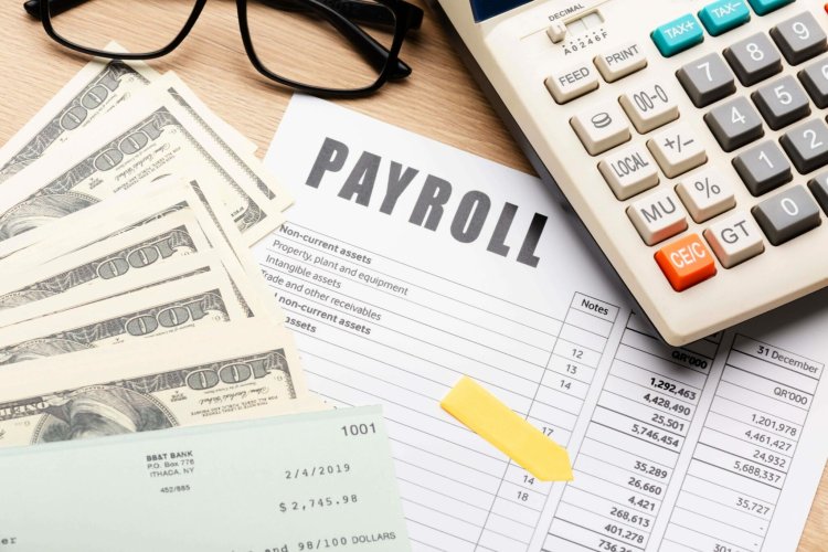 Exploring Payroll Software Companies in India: Revolutionizing Payroll Management