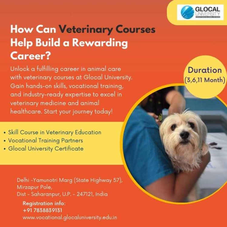 How Can Veterinary Education Aid in the Development of a Fulfilling Career?