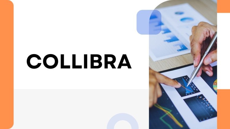 Collibra: Revolutionizing Data Governance and Management